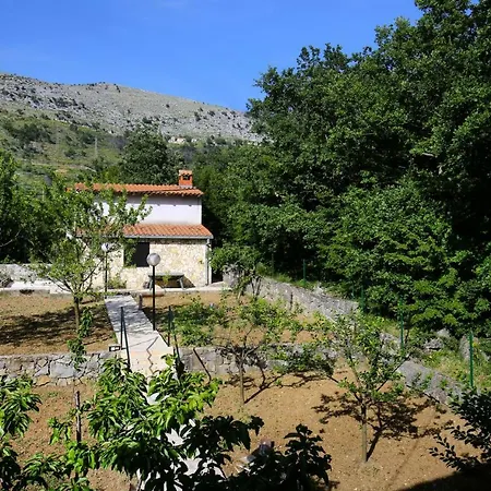 Quiet House With Garden بيت للعطل